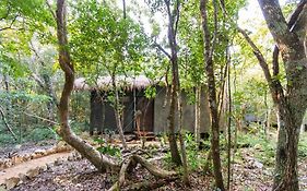 Ojo De Agua. Design+Pool. Vive La Autentica Selva!